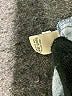 Unbranded 100% Cotton Blue Casual Pants Size XL (estimated) - photo 4