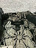 Talbots Black Sleeveless Blouse Size XL - photo 7