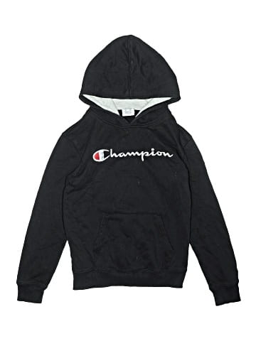 Champion Pullover Hoodie (view 1)