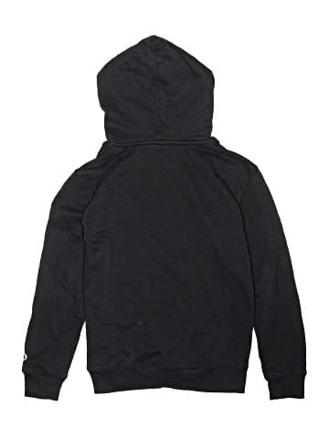Champion Pullover Hoodie (view 2)