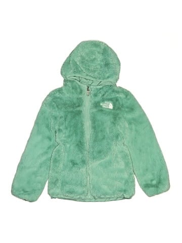 The North Face Snow Jacket (view 1)