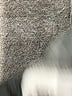 Nike 100% Polyester Gray Sweatshirt Size 4T - photo 3