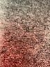 RION Burgundy Vest Size XS - photo 6