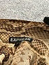 Express 100% Polyester Animal Print Tan Long Sleeve Blouse Size S - photo 7