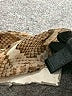 Express 100% Polyester Animal Print Tan Long Sleeve Blouse Size S - photo 8