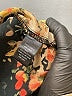 Sweet Rain 100% Polyester Floral Black Sleeveless Blouse Size M - photo 8