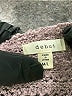 Debut Metallic Brown Pullover Sweater Size Med - Lg - photo 7
