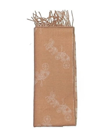 Coach Scarf (view 2)
