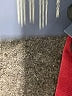 Universal Thread Solid Red Shorts Size 8 - photo 4