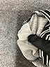 miss Valley Stripes Silver Casual Pants Size 10 - photo 8