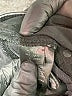 We the Free Chevron-herringbone Black Jeans Size 32 waist - photo 9