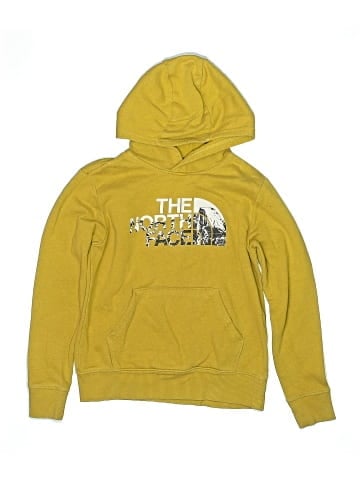 The North Face Pullover Hoodie (view 1)