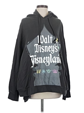 Disney Pullover Hoodie (view 1)