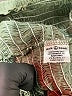 Assorted Brands Green Tube Top One size - photo 5