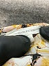 Maurices 100% Polyester Floral Gold 3/4 Sleeve Blouse Size XL - photo 9