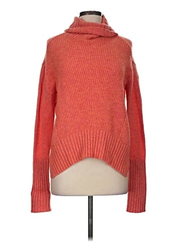 Moth Turtleneck Sweater (view 1)