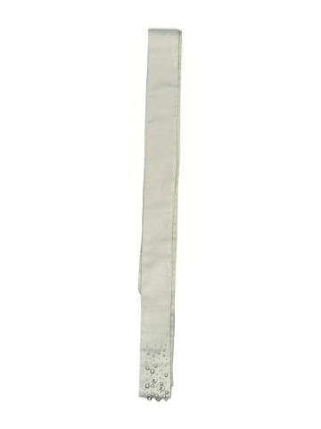 Talbots Belt (view 2)