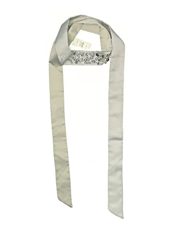 Talbots Belt (view 1)