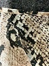 Shein Animal Print Brown Jumpsuit Size M - photo 4