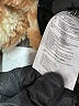 Apparis Animal Print Orange Snow Jacket Size L - photo 7