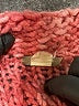 J.Crew Tweed Red Jacket Size S - photo 6