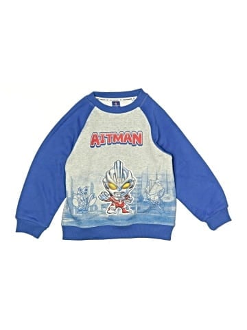 Assorted Brands Sweatshirt (view 1)