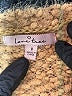 Love Tree 100% Polyester Tan Cardigan Size M - photo 7