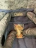 dalia Solid Blue Active Pants Size XXL - photo 4