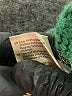 Scotch & Soda Green Pullover Sweater Size XS (0) - photo 9