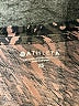 Athleta Animal Print Brown Short Sleeve T-Shirt Size XS - photo 7