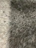 Good American Blue Jeans Size 31 waist - photo 7
