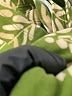 CAbi Tropical Floral Green Tank Top Size XXS - photo 7