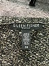 Eileen Fisher Gray Cardigan Size 2X - photo 7