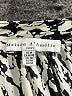 Maison d' Amelie 100% Polyester Animal Print Ivory Long Sleeve Blouse Size M - photo 7