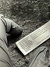 Eileen Fisher Black Casual Pants Size M - photo 5