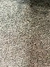 Sofia by Sofia Vergara Brown Casual Pants Size L - photo 9