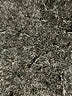 Romeo & Juliet Couture Metallic Silver Pullover Sweater Size M - photo 8
