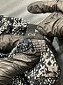 Nectar Creations Animal Print Silver Cocktail Dress Size L - photo 9