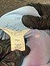 Caslon Blue 3/4 Sleeve Blouse Size Lg Petite - photo 7