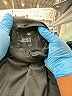 Unbranded Black Long Sleeve Turtleneck Size M - photo 4