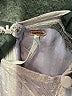 Free People 100% Polyester Gray Cocktail Dress Size 8 - photo 7