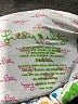 Lilly Pulitzer Print Green Swimsuit Top Size XS - photo 3
