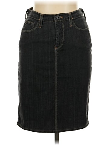 Adriano Goldschmied Denim Skirt (view 1)