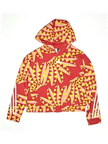 Adidas Pullover Hoodie (view 1)