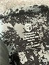 Born Primitive Paisley Gray Athletic Shorts Size S - photo 3