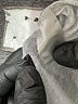 Z Supply Silver Tank Top Size M - photo 8