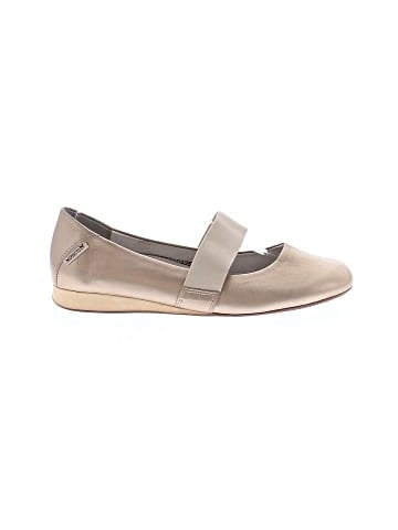 Mephisto Flats (view 1)