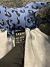 Shein 100% Polyester Animal Print Blue Casual Pants Size S - photo 7