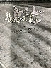 Assorted Brands Gray Short Sleeve T-Shirt Size M - photo 7