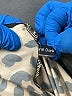 Assorted Brands Animal Print Tan Casual Skirt Size XXL - photo 4